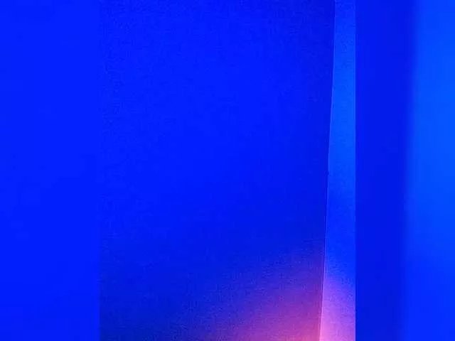 Freechat -VULPECULA- on BongaCams