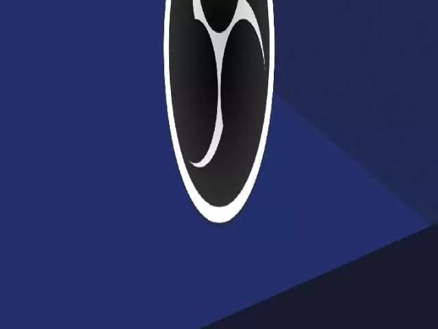 analeptit on BongaCams