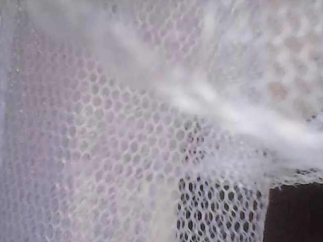 Offline Bignastydick on BongaCams