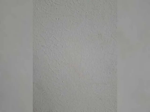 Freechat Camdolie on BongaCams