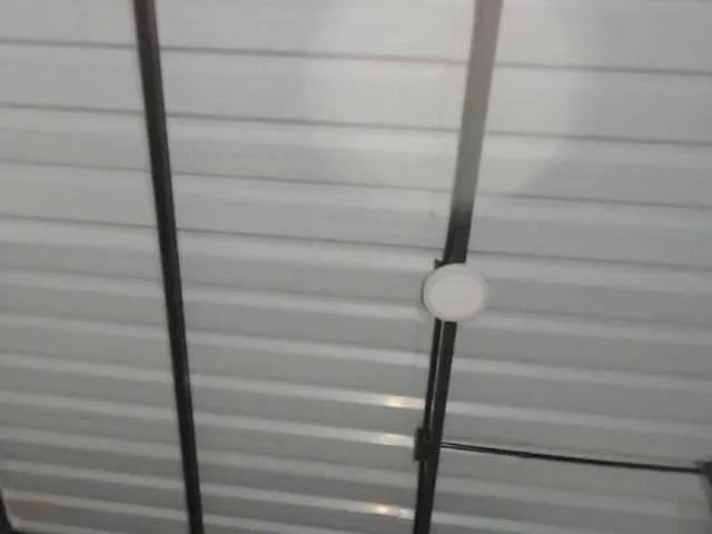 Offline candylovet on BongaCams