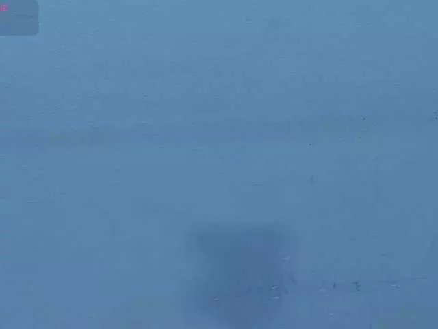 Offline Harsh-mode on BongaCams