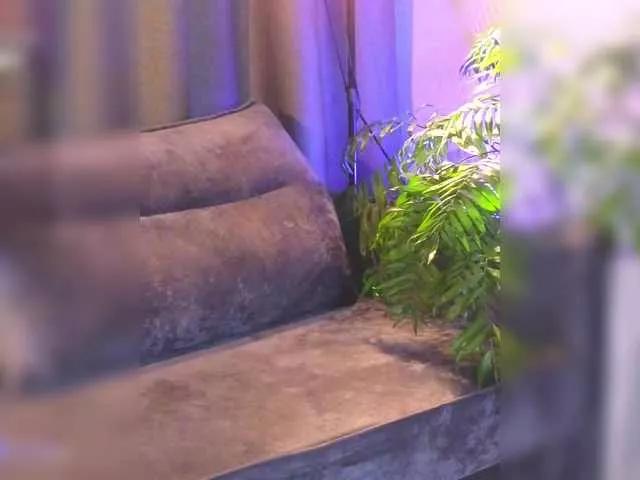 Offline Hotksy on BongaCams