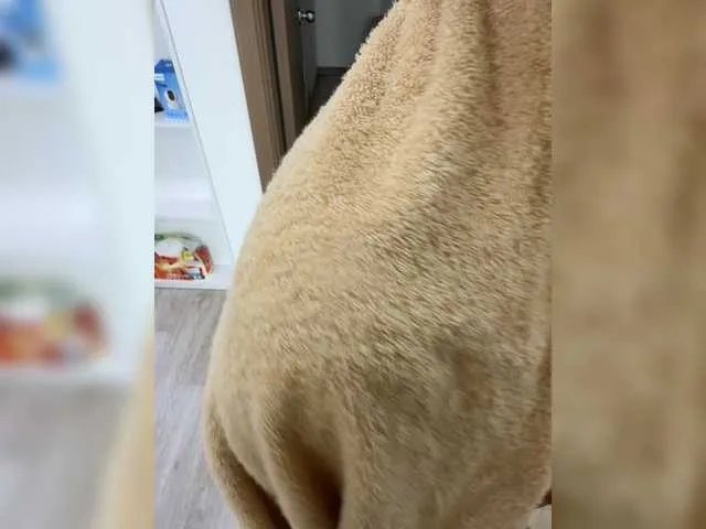 lean-lie — FUCK AND CUM INON HER until the SHOW is left @remain tksWE MAKE A SHOW FOR YOU - WE THROW TIPSlobber-28tkDeeper and faster-30tBlowjob 208tkCUM IN HER 599tkSupport and be kind enough to leave a tip for the showshow for every token, insta Lean_lie1