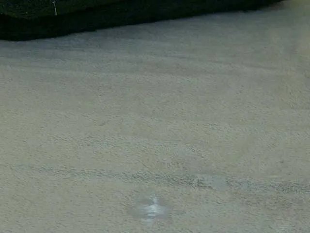 Freechat LeyaCass on BongaCams