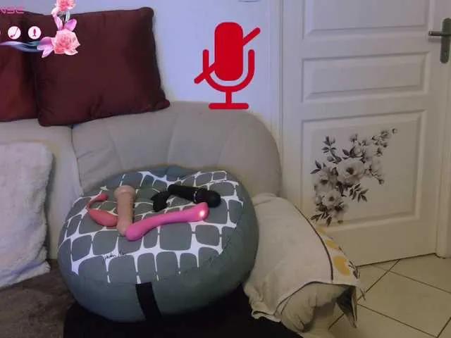 Offline LISACAM2CAM on BongaCams