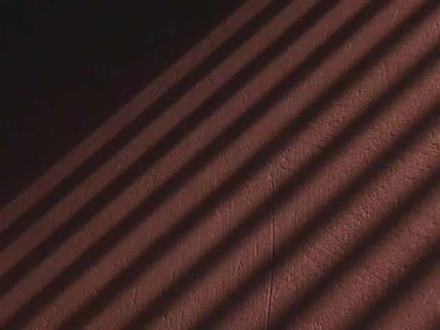 BongaCams Maddison is Freechat Maddison — Special Attitude.