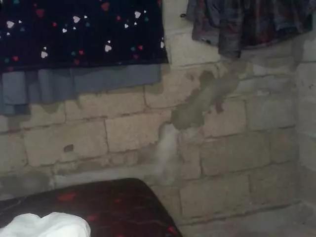 Freechat naomiyfabian on BongaCams