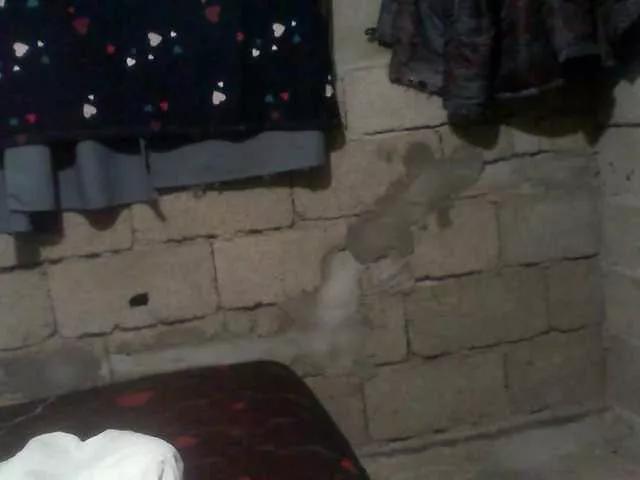 Freechat naomiyfabian on BongaCams