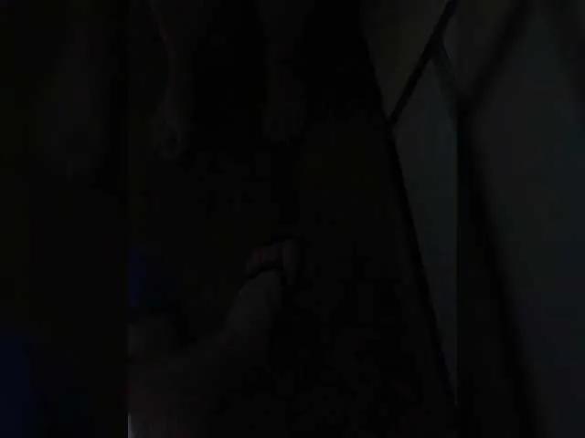 Offline SashaLena728 on BongaCams