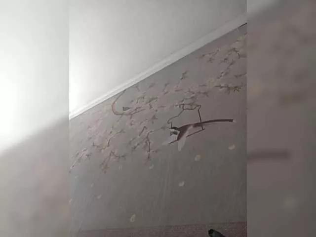 Offline SashaZ1 on BongaCams