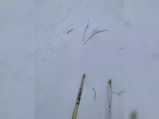 Offline Sexikka on BongaCams