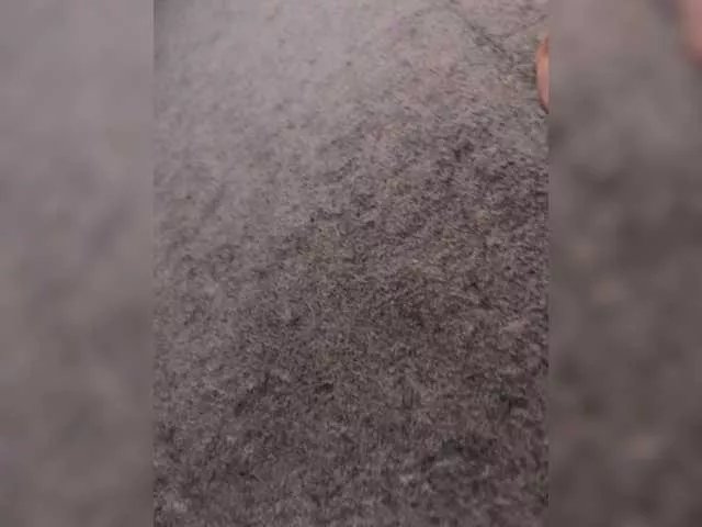 Freechat Sexy6969 on BongaCams