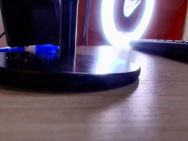 Offline shels-loreds on BongaCams