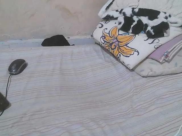 Avatar of Verylshanny