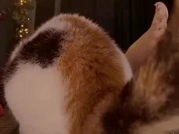 Chaturbate badassswitch is Freechat badassswitch — Worship /menu Active: Tribute = Attention | Feet * JOI * Control | #feet #findom #mistress #femdom #milf