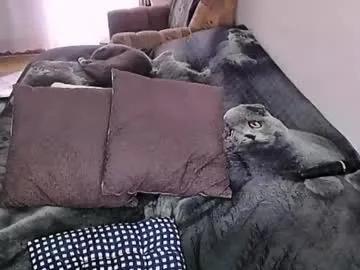 Freechat tviks on Chaturbate