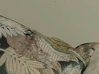 Freechat adele_holter on Flirt4Free