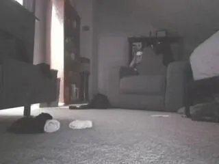 andy_riles on Flirt4Free