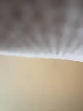 Freechat blissdimicco on StripChat