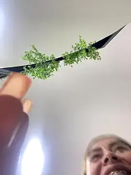 Freechat CharlotteBrownn_ on StripChat