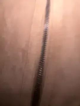 Freechat FroggyAnna on StripChat