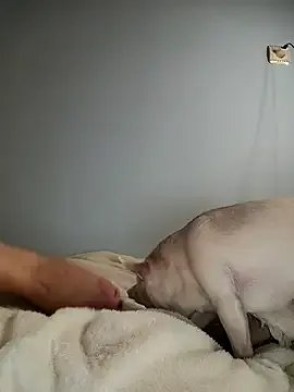 LisaFoxxy444 on StripChat