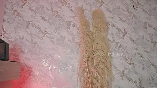 Freechat roselinedior on StripChat