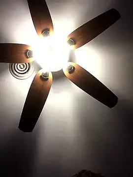 StripChat spazz247 is Freechat spazz247 — Freechat on StripChat