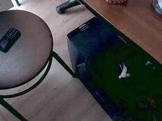 pervertgrandma on CamSoda