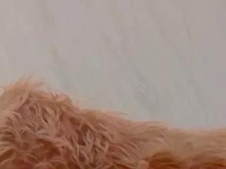 nazanin_hunter on Flirt4Free 