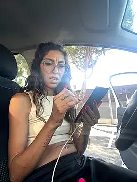 Amani_thewolf on StripChat 