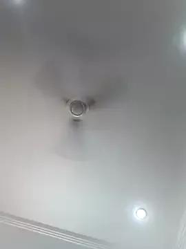 Private Archi-07 on StripChat