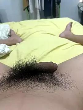 dahai147258 — Freechat on StripChat