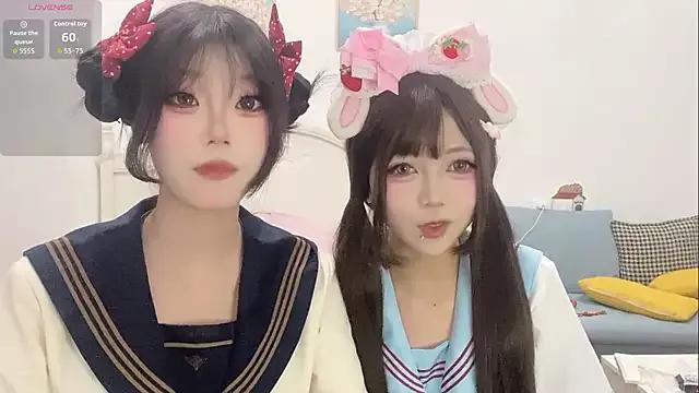 DD-NN on StripChat