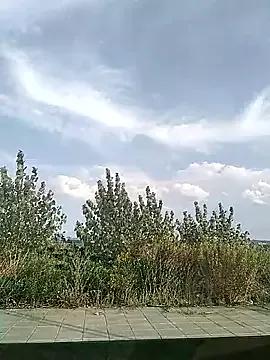 Freechat Milfa_nimfomana on StripChat